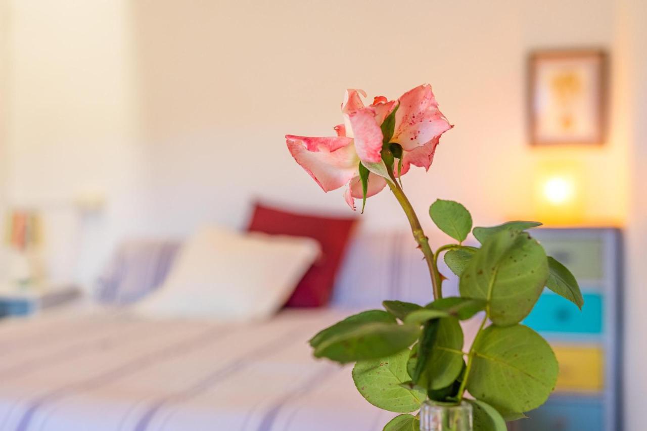 Son Sunyer Vakantiehuis La Aranjasa